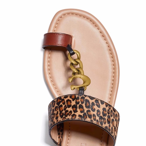 COACH Shoes - COACH Women's Jaimee Toe Loop Chain Flat Sandal